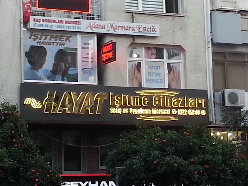 Hayat İşitme