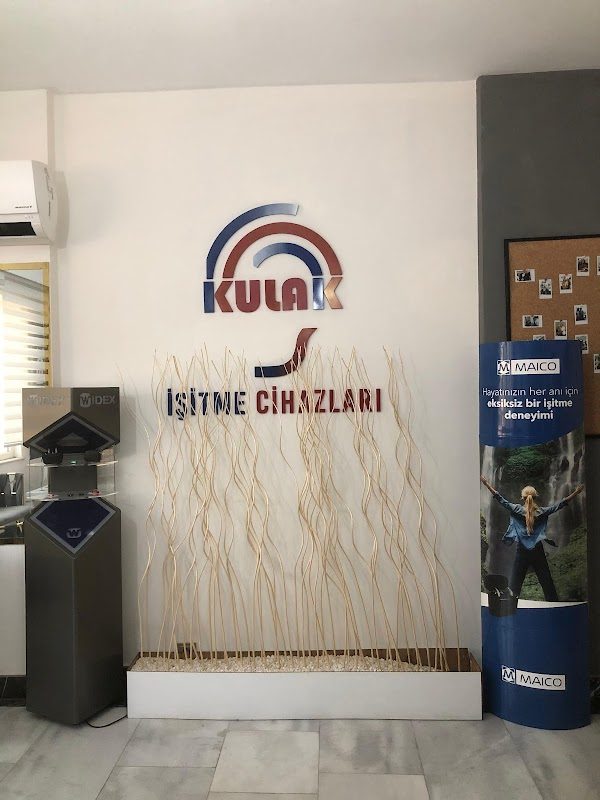 Kulak İşitme Cihazlari 2