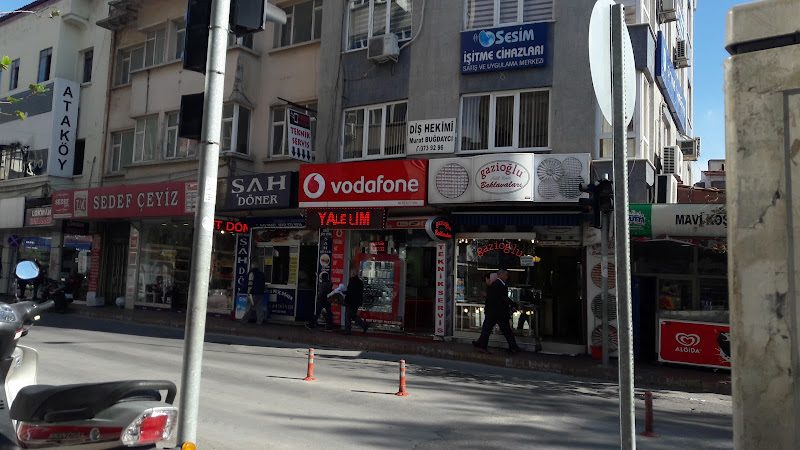Sesim İşitme Cihazları